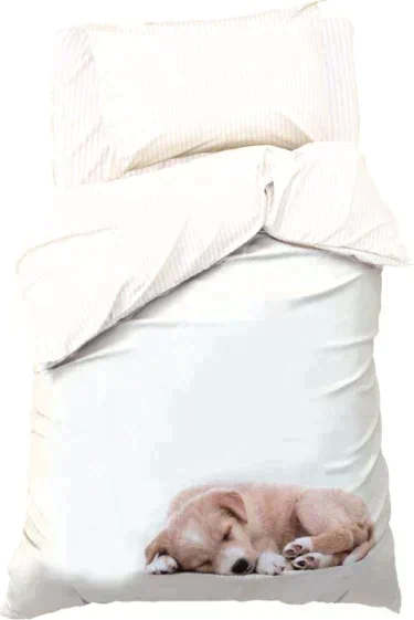 Постельное бельё «Этель» Cute dog, 1.5 сп., 143х215 см., 150х214 см., 50х70 см. - 1 шт., 100% хл., бязь