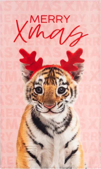 Новогодний подарочный набор кухонный Merry Xmas подставка, полотенце, формочка