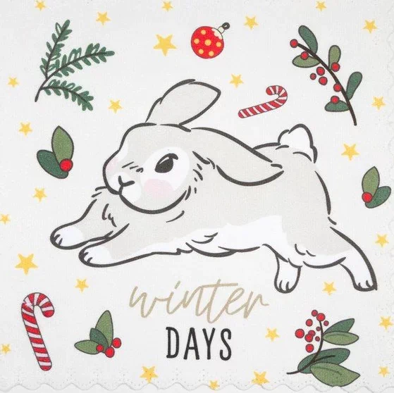 Набор салфеток для уборки Доляна "Winter days" 20х20 см-2 шт, микрофибра