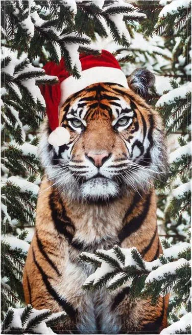 Набор подарочный Tiger кухонное полотенце, прихватка, силиконовая форма