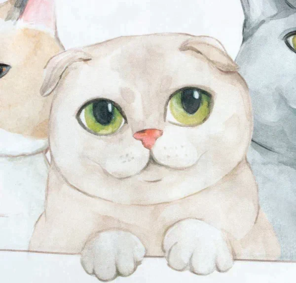 Постельное бельё Этель 1,5 сп "Happy cats" 143х215 см, 150х214 см, 50х70 см -1 шт, 100 % хлопок, бязь