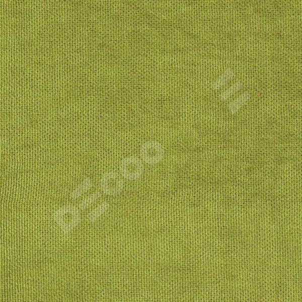 Канвас Зелёное яблоко v-370