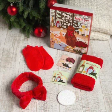 Набор подарочный Этель Winter time полотенце 30х60см и аксс (3 предм)