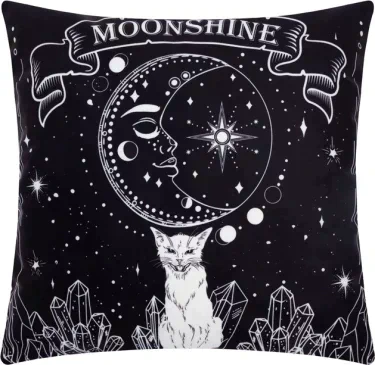 Наволочка Этель "Moonshine" 40х40 см, 100% п/э, велюр