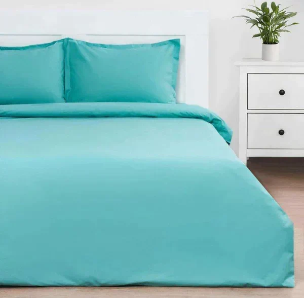 Постельное белье Этель евро Mint morning 200*217 см, 240*220 см, 50*70+3 см-2 шт