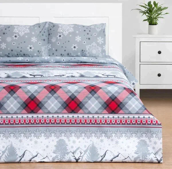 Постельное бельё Этель 2 сп Snow time 175х215см,200х220см,50х70см-2 шт