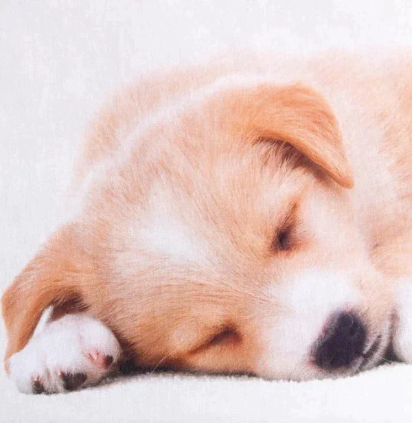 Пододеяльник Этель "Cute dog", 143х215 см, 100% хлопок